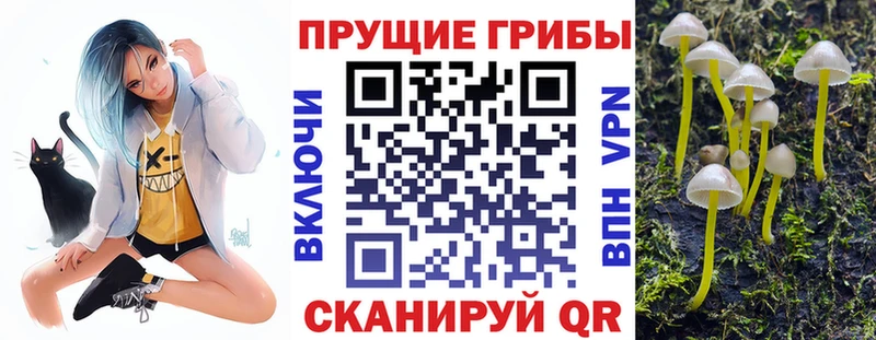blacksprut зеркало  Зима  Галлюциногенные грибы Magic Shrooms 
